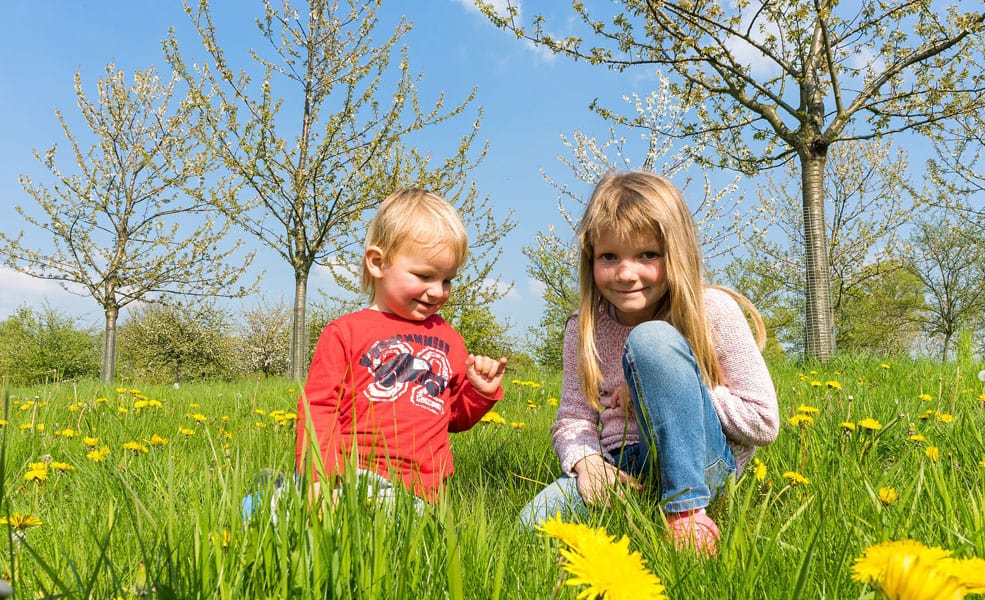 children spring outdoor play