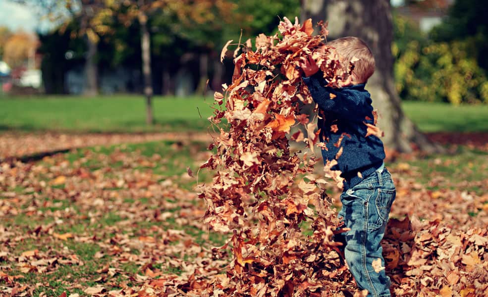 October Activities, Part 2: Fall Activities for children