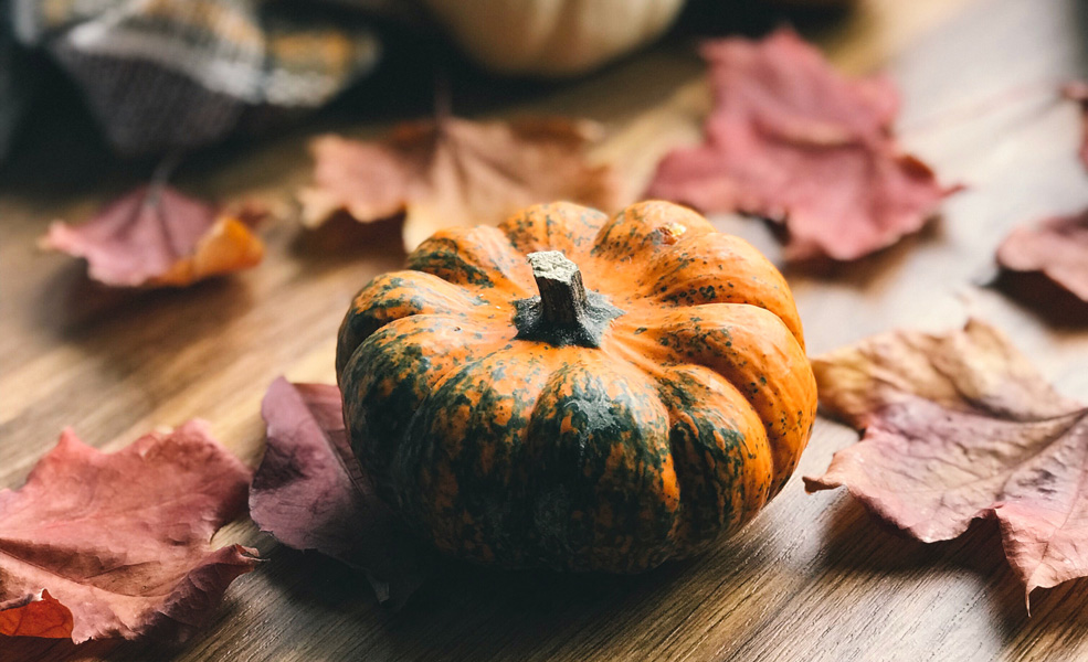 Fun fall questions to ask your child