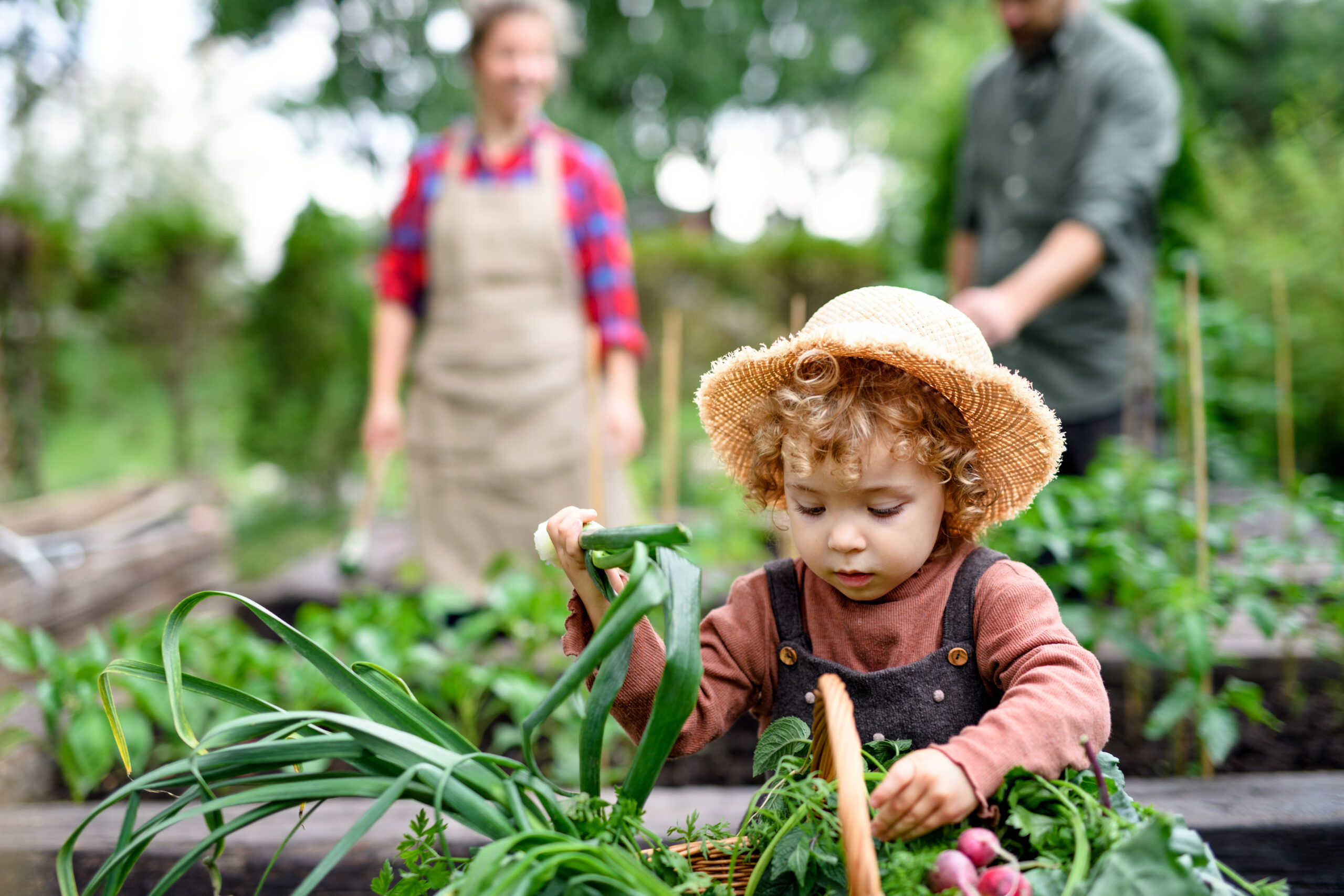 TEACHING CHILDREN THE IMPORTANCE OF PLANTING AND GARDENING