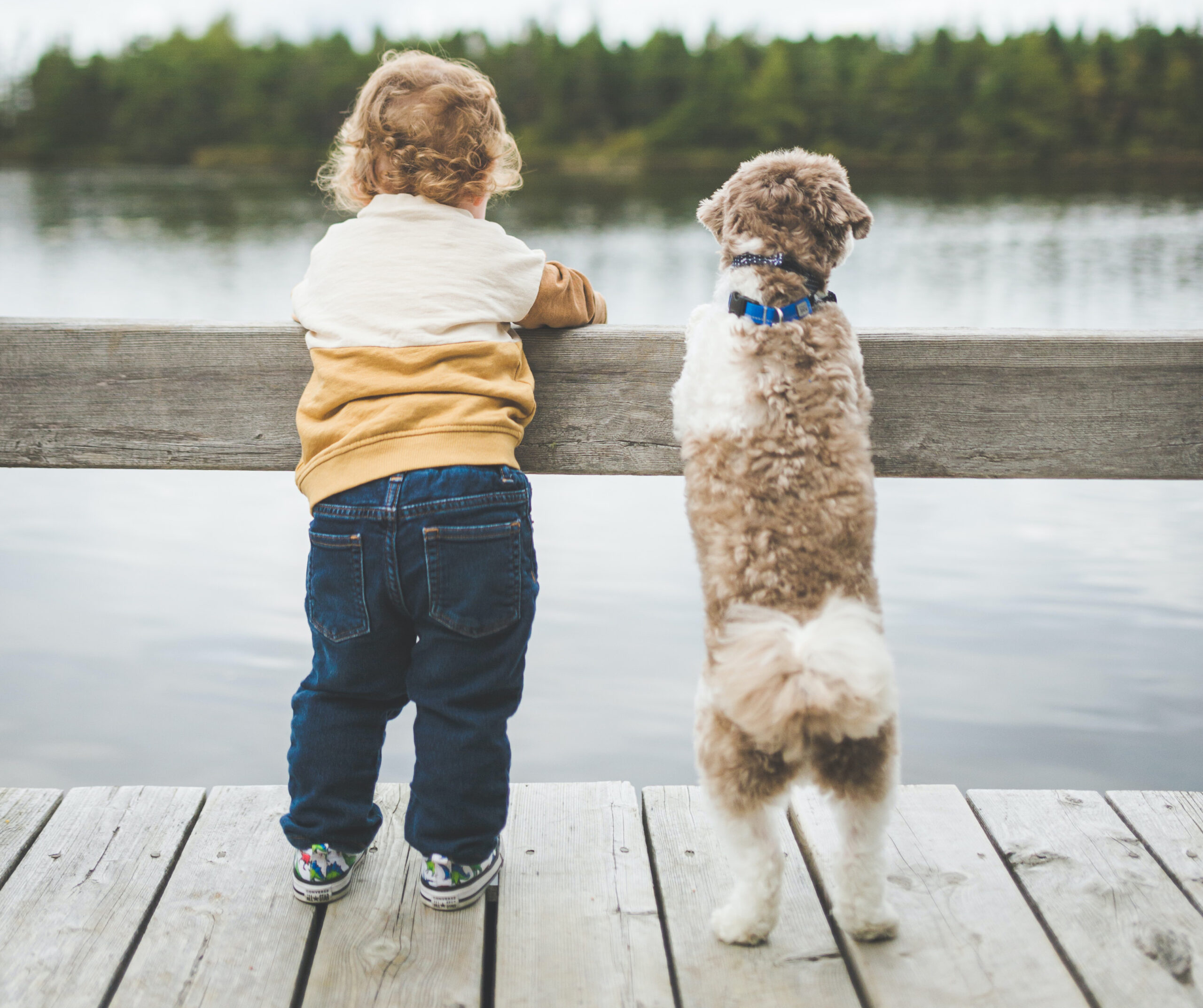 PAWS AND PLAY: THE PROFOUND IMPACT OF PETS ON CHILDREN’S DEVELOPMENT
